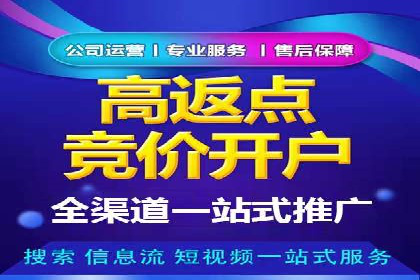 案例分享：竞价代运营助力企业增长